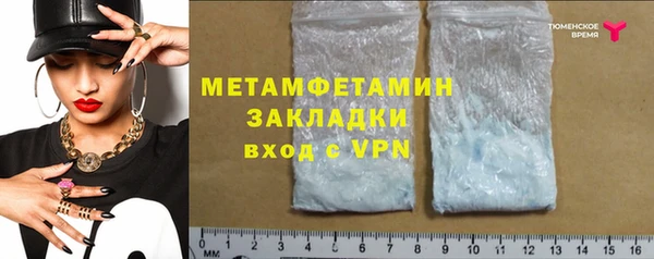 прущие грибы Михайловск