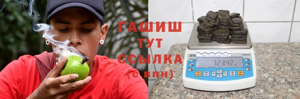 гидра Шали