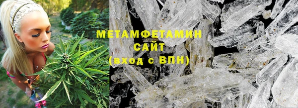 прущие грибы Михайловск