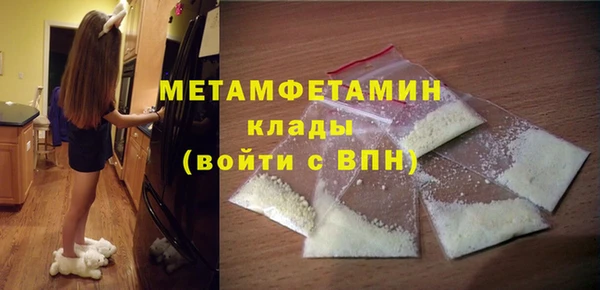прущие грибы Михайловск