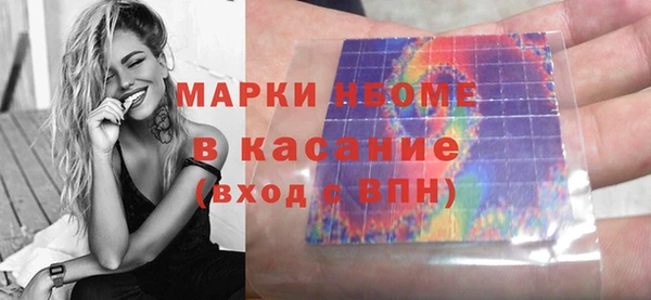 прущие грибы Михайловск
