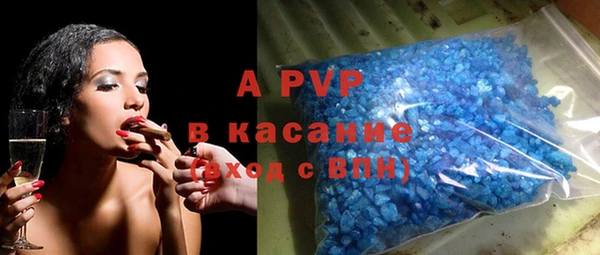 СК Шадринск