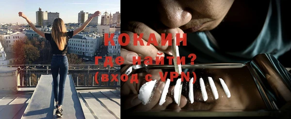 прущие грибы Михайловск