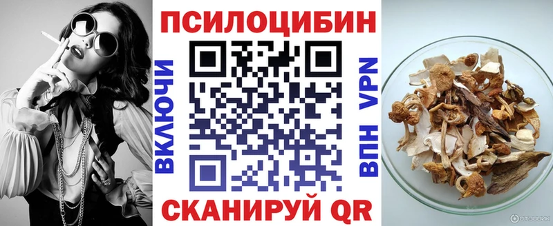 цены   маркетплейс телеграм  Псилоцибиновые грибы Psilocybe  Свирск 
